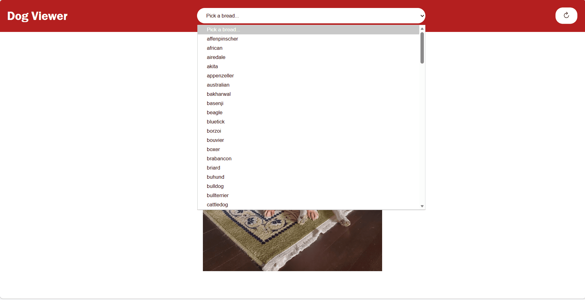 Dog Breed Explorer