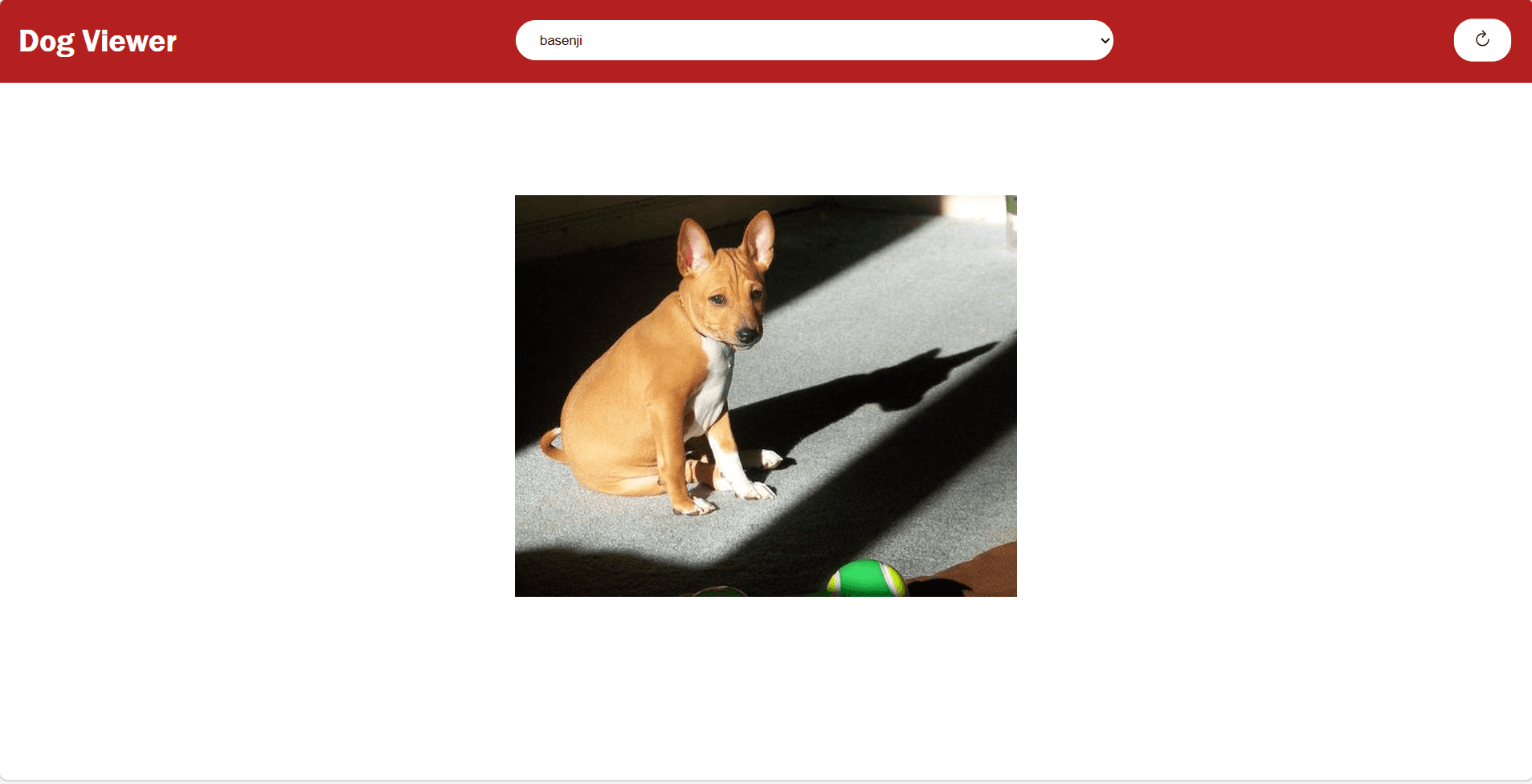 Dog Breed Explorer